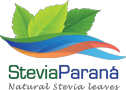 Stevia Parana