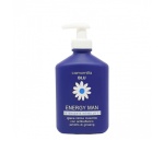 camomilla-blu-energy-man