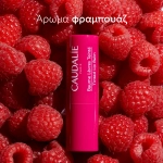 caudalie vinotherapist tinted